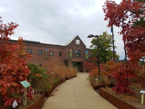 A modern building surrounded by vibrant autumn foliage and a paved pathway leading to the entrance.