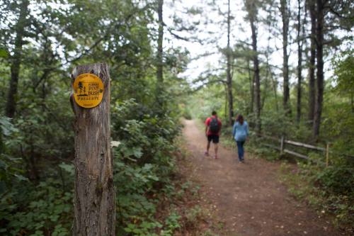 Two hikers walking on a wooded trail, with a yellow trail marker on a tree stump in the foreground.