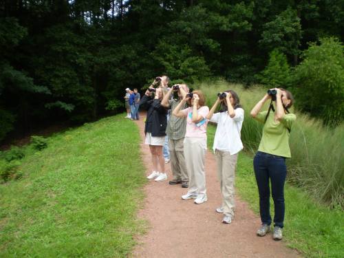 A group of people on a path, using binoculars to observe nature in a lush, green environment.