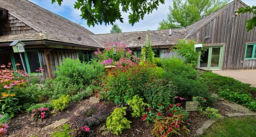 A vibrant garden filled with colorful flowers surrounds a rustic wooden building under a blue sky.