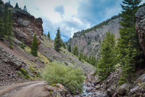 A winding dirt road alongside a rocky canyon and a flowing stream, surrounded by tall pine trees and mountains.