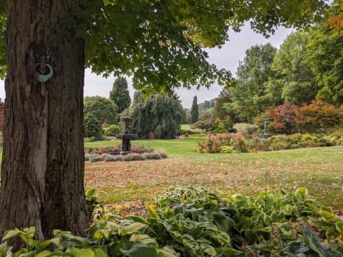 A serene garden scene with a fountain, colorful foliage, and a tree in the foreground under a cloudy sky.