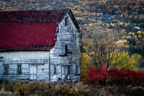 A weathered barn with a red roof stands against a backdrop of colorful autumn foliage.