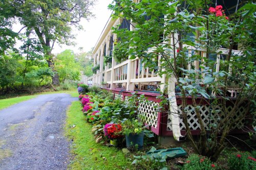 A charming house with a flower-filled garden along a gravel path, surrounded by greenery and trees.