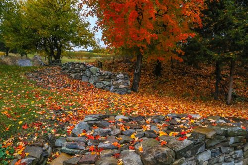 A scenic path lined with stone walls, surrounded by vibrant autumn leaves and colorful trees.