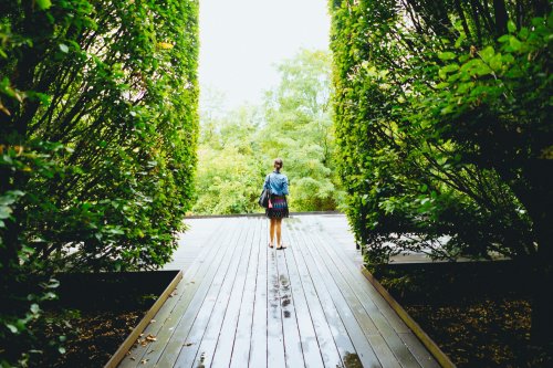 A person walks along a wooden path surrounded by tall green hedges, leading to a lush, green landscape.