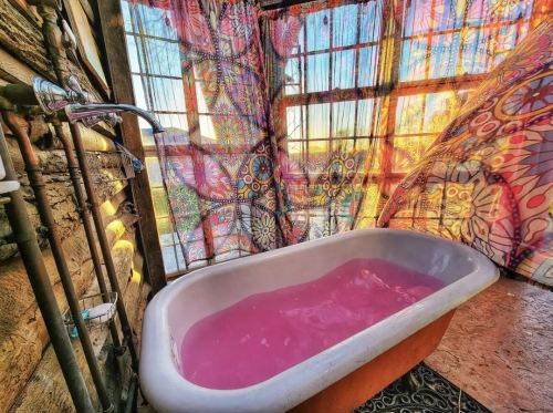 A vintage bathtub filled with pink water, surrounded by colorful patterned curtains and sunlight streaming through windows.