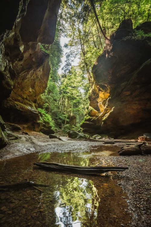 A serene canyon with towering rock walls, lush greenery, and a calm pool reflecting the trees above.