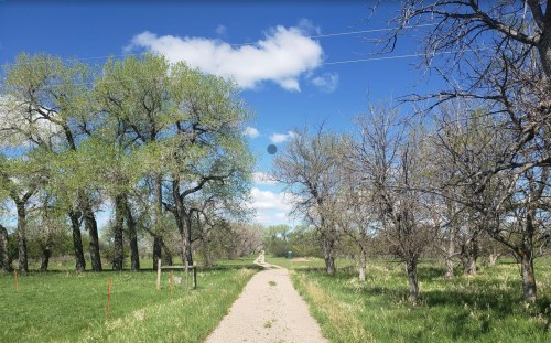 A gravel path winds through a green landscape with trees and a blue sky dotted with clouds.