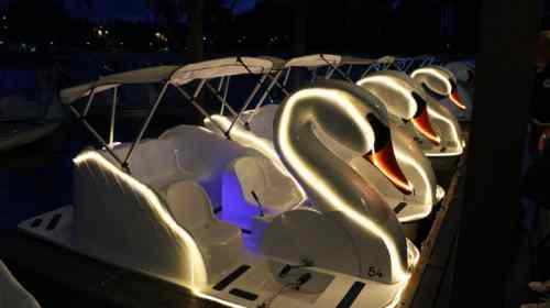 Illuminated swan-shaped paddle boats lined up at a dock during twilight.