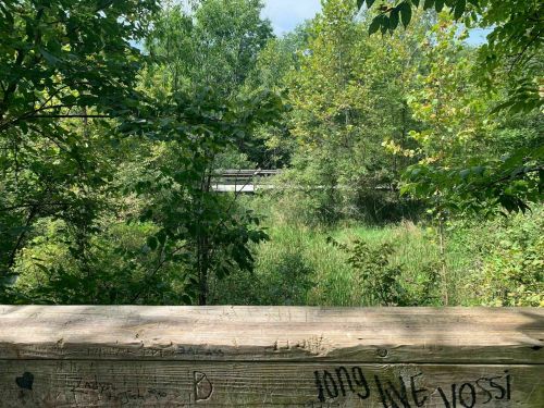 A wooden railing overlooks a lush green landscape with trees and a small body of water in the background.