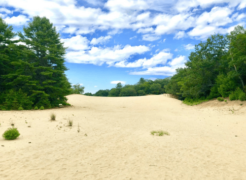 A sandy landscape with gentle dunes, surrounded by green trees under a blue sky with fluffy white clouds.