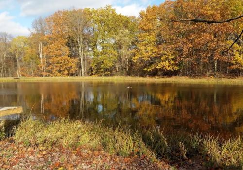A serene pond surrounded by autumn trees, reflecting vibrant fall colors in calm water.