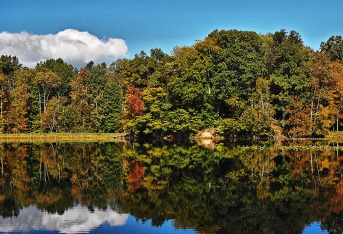A serene lake reflecting colorful autumn trees under a clear blue sky with fluffy clouds.