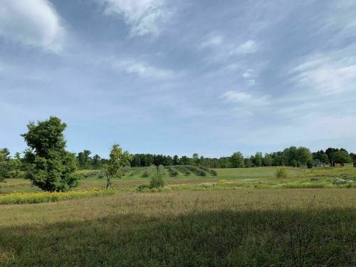 A serene landscape featuring a grassy field, scattered trees, and a blue sky with wispy clouds.