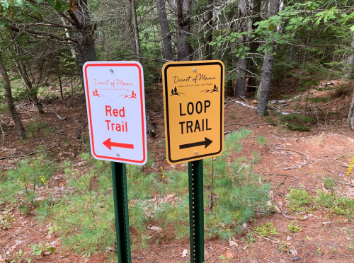Two trail signs in a forest: one red arrow pointing left for the Red Trail, and one yellow arrow pointing left for the Loop Trail.