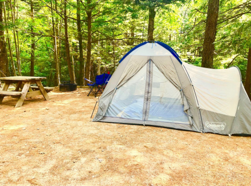 A tent set up in a wooded campsite, with a picnic table and chairs nearby on a sandy ground.