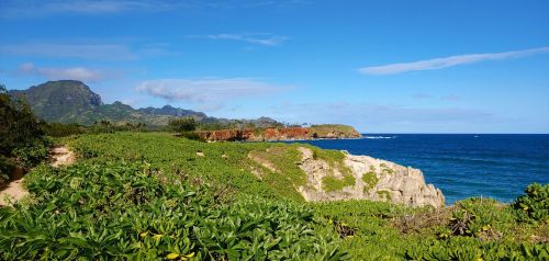 A scenic coastal view with lush greenery, rocky cliffs, and a clear blue sky over the ocean.