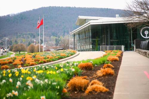 A modern building with large glass windows, surrounded by colorful flower beds and a backdrop of rolling hills.