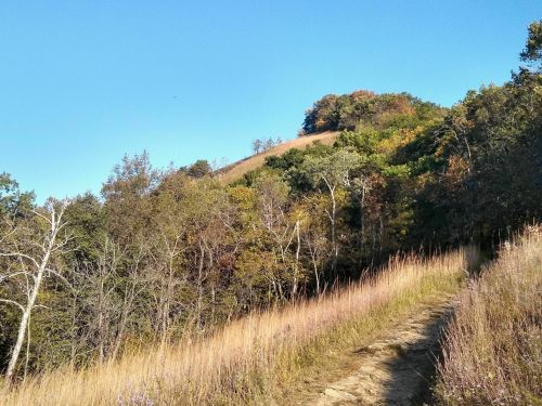 A winding dirt path leads up a hillside covered in autumn foliage under a clear blue sky.