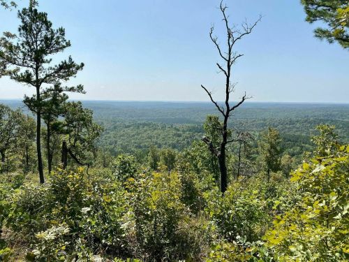 A panoramic view of lush green hills and trees under a clear blue sky, showcasing a serene natural landscape.