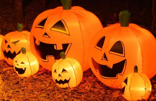 A group of glowing inflatable Halloween pumpkins with various facial expressions, surrounded by fallen leaves.
