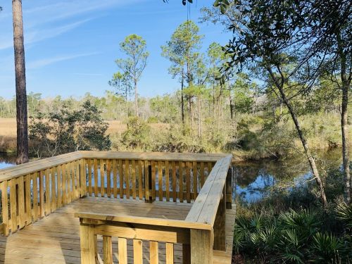 A wooden deck overlooks a serene waterway surrounded by trees and greenery under a clear blue sky.