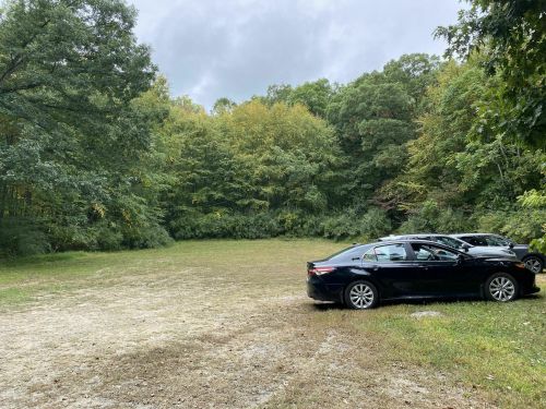 A gravel parking area with two parked cars beside a lush green forest under a cloudy sky.