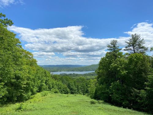 A scenic view of a lush green landscape with a lake and mountains under a blue sky with fluffy clouds.