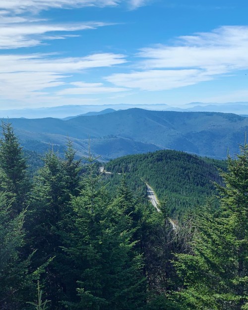 A scenic view of rolling mountains and a winding road, framed by lush green trees under a blue sky.