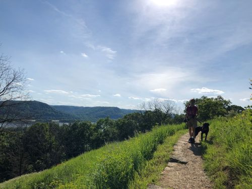 A person walks a dog along a grassy path with a scenic view of hills and a river under a clear blue sky.
