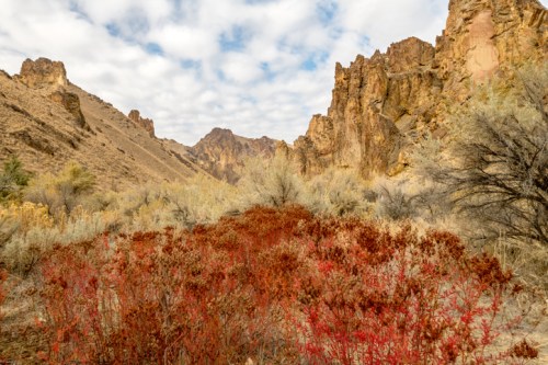 A scenic canyon landscape with rocky cliffs, dotted with autumn foliage in vibrant red and muted earth tones under a cloudy sky.