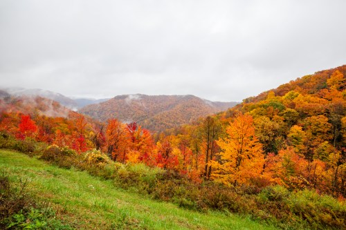 A scenic view of rolling hills covered in vibrant autumn foliage, with misty mountains in the background.
