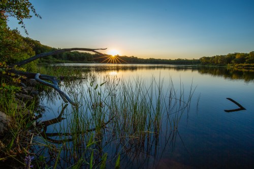 Sunrise over a calm lake, with reflections on the water and lush greenery along the shore.