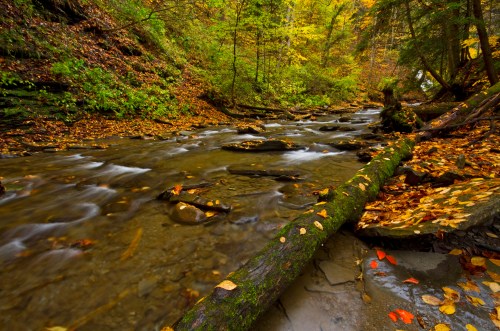 A serene river flows through a forest, surrounded by colorful autumn leaves and moss-covered rocks.