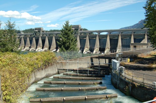 A large dam with multiple spillways, surrounded by trees and a clear blue sky, with water flowing below.