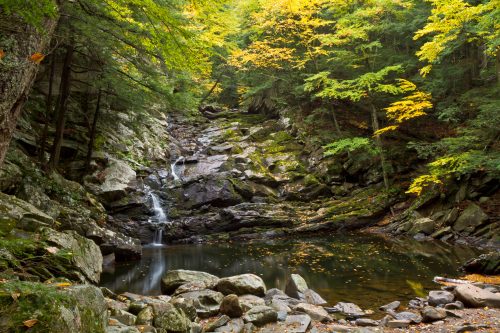 A serene forest scene featuring a small waterfall cascading over rocks into a tranquil pool, surrounded by autumn foliage.