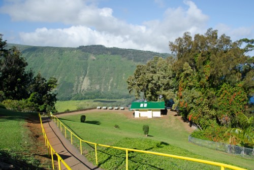 A green hillside with a path leading to a small building, surrounded by trees and under a blue sky with clouds.