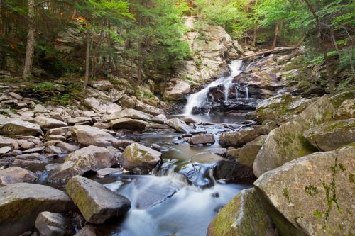 A serene waterfall cascades over rocks, surrounded by lush greenery in a tranquil forest setting.