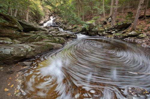 A serene forest scene featuring a winding stream with swirling water, surrounded by rocks and lush greenery.
