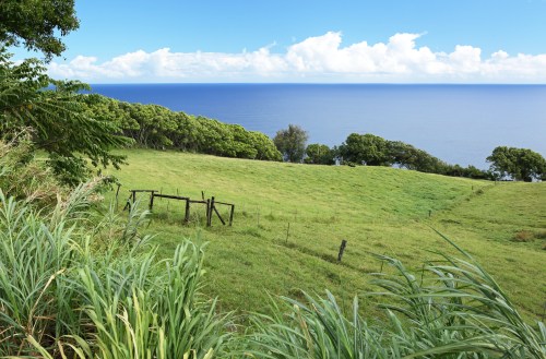 Lush green hillside overlooking a calm ocean under a bright blue sky with scattered clouds.