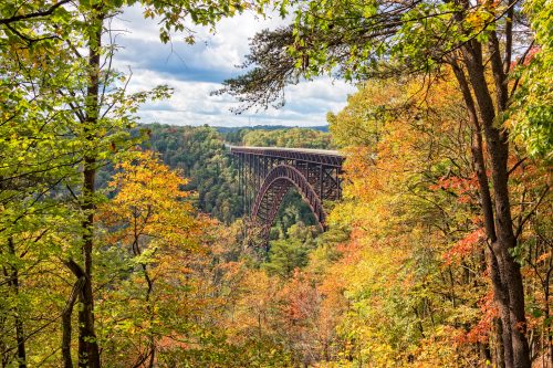 A scenic view of a bridge arching over a colorful autumn landscape with trees in vibrant fall foliage.