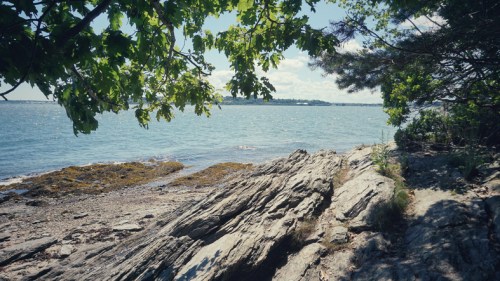 A rocky shoreline with clear water, framed by trees and a bright blue sky with scattered clouds.