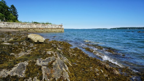 A rocky shoreline with seaweed, calm blue water, and a clear sky in the background.