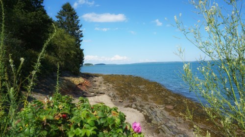 A serene shoreline with rocky terrain, lush greenery, and a clear blue sky over calm waters.