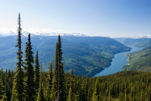 A panoramic view of a lush valley with a winding river, surrounded by mountains and tall evergreen trees under a clear blue sky.