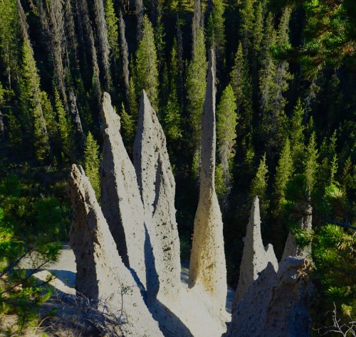 Aerial view of tall, jagged rock formations surrounded by dense green pine trees.