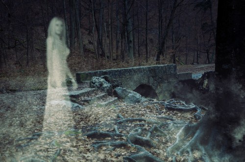 A ghostly figure in a white dress stands in a dark, wooded area near an old stone bridge, surrounded by fallen leaves.