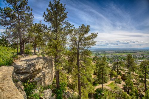 A scenic view of a rocky cliff surrounded by tall pine trees, overlooking a valley and distant mountains under a blue sky.