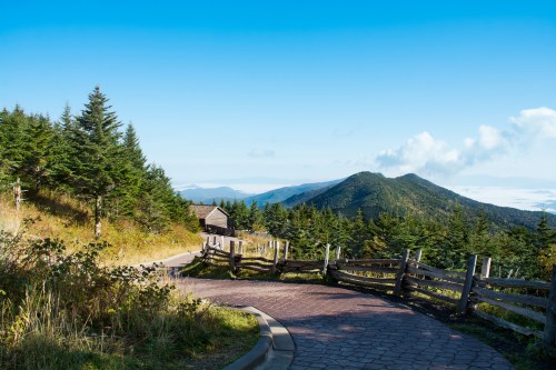 A winding path through lush greenery leads to a scenic mountain view under a clear blue sky.